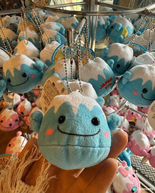 呢度係河口湖嘅天上山公園，要先搭纜車前往，一路盪千秋一路望住...