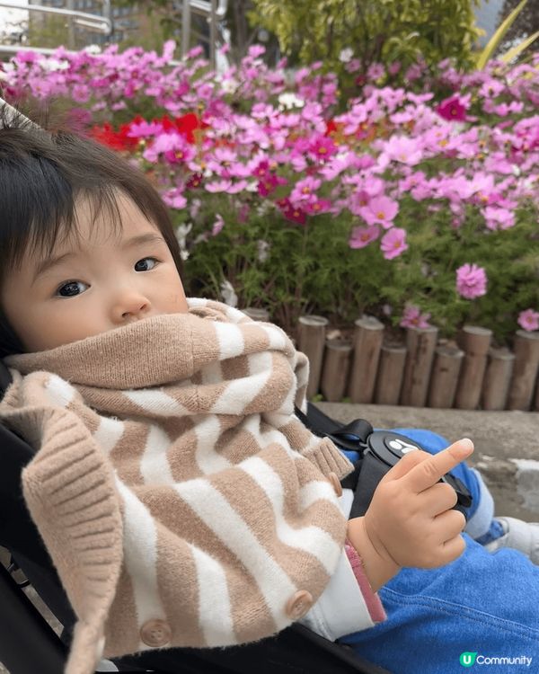 3月周圍都係花，睇到個人花光眼亂，前排趁天氣唔錯就帶bb同色...