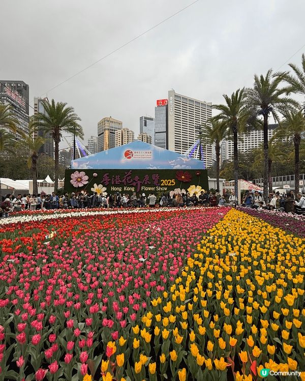 春天啦！一年一度維園花展又嚟啦😊第一日就來打打卡先🥰