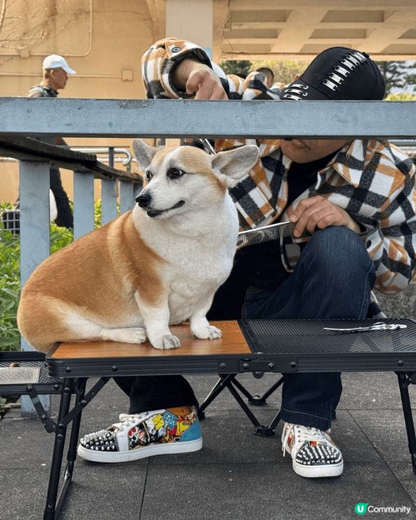 吹住風剪髮，望住個海，正！