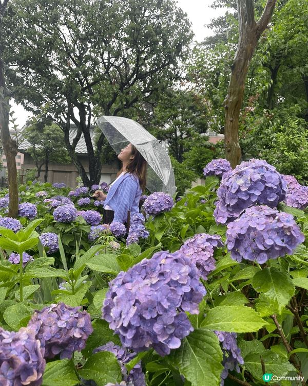 2024。6月日本之旅