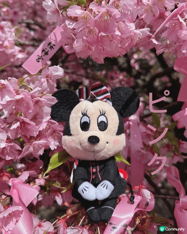 🌸✨東京隱世賞櫻秘境：櫻神宮✨🌸  想同大家介紹下隱世賞櫻好...