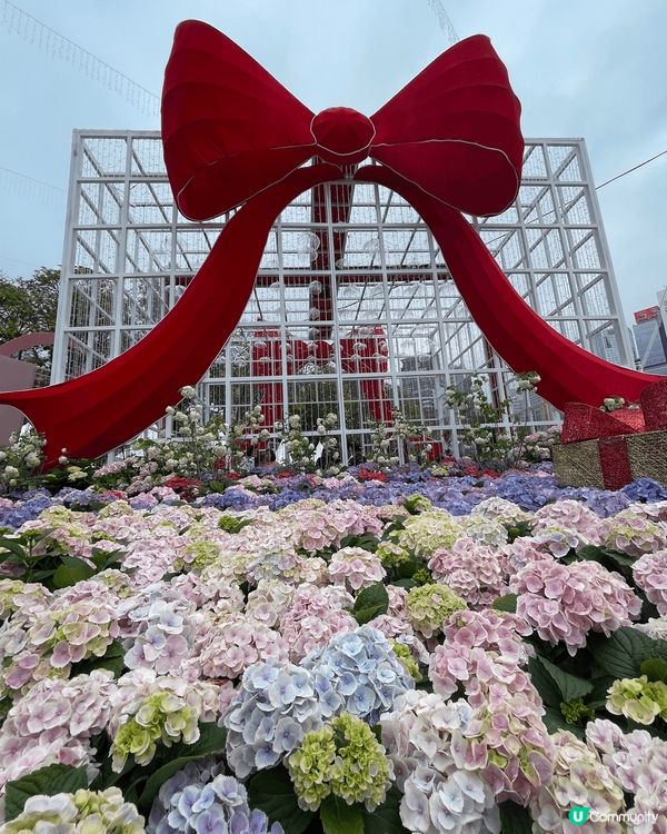 Hong Kong Flower Show 2025 