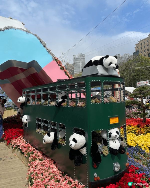 Hong Kong Flower Show 2025 