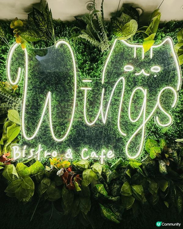 🎂同閨蜜慶祝生日，揀咗間有貓貓主題嘅𝐂𝐚𝐟𝐞食西餐😻 一踏出...