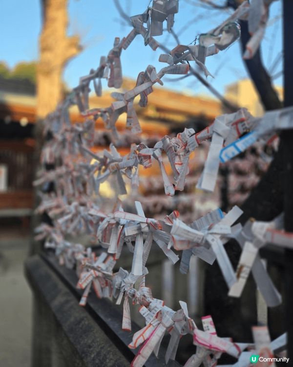 同2個朋友去左福岡自由行，快閃4日3夜，到訪糸島秘景同埋品嘗...