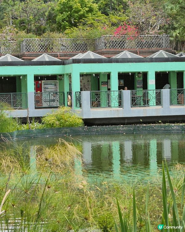 原來城門谷公園有咁靚的花，若不是友人介紹，也不知原來荃灣有咁...