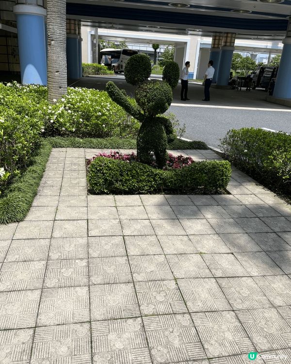 米奇我去廸士尼找你啦🥰