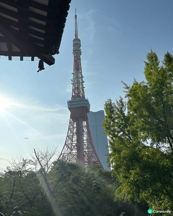 秋天去咗日本東京玩，去咗一個可以離遠睇到東京鐵塔嘅地方，但想...