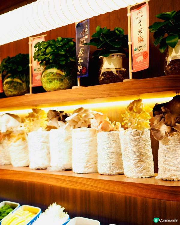 𓂃.𓈒西灣河𓎏ෆ.ᐟ任食北海道十勝和牛及千歲產米豚𓈒𓂃.