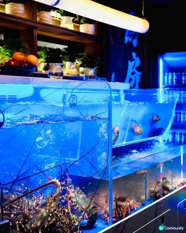 𓂃.𓈒西灣河𓎏ෆ.ᐟ任食北海道十勝和牛及千歲產米豚𓈒𓂃.