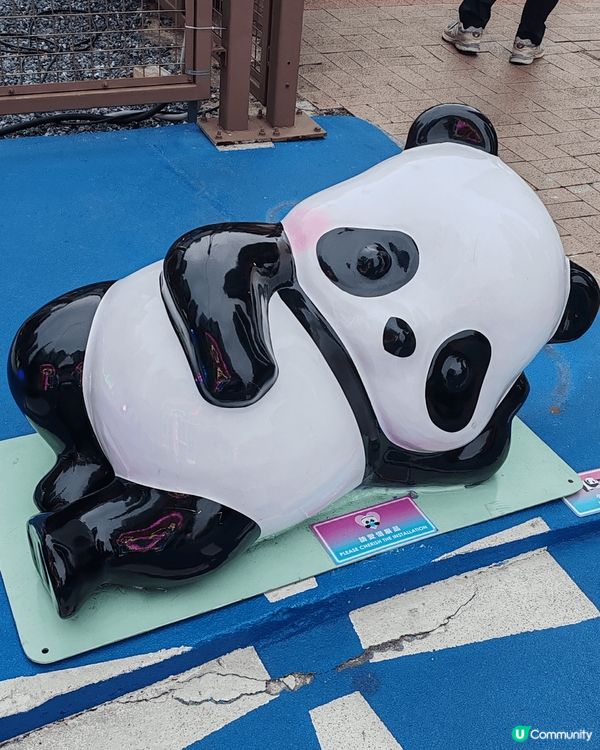 為配合全港喜迎熊貓的歡樂氣氛，市建局在觀塘的「自由空間」設置...