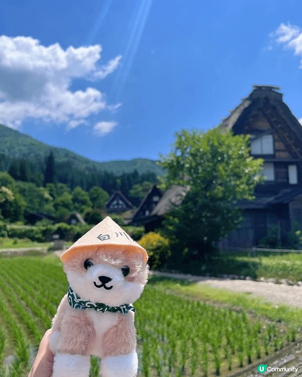 旅行的意義在於參與