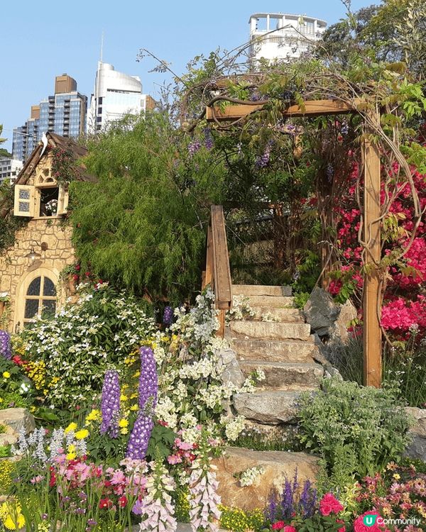 香港花卉展🌸  打卡天堂📸