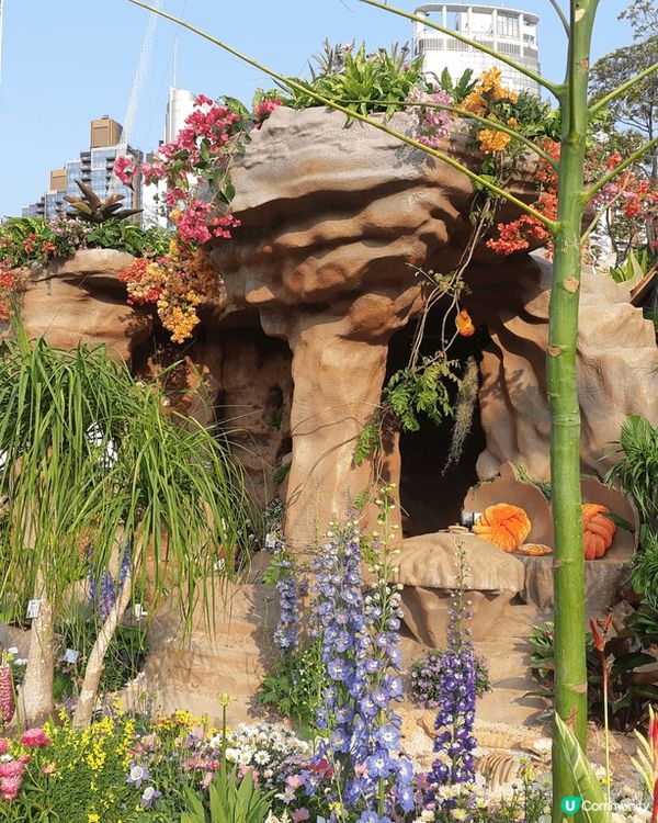 香港花卉展🌸  打卡天堂📸