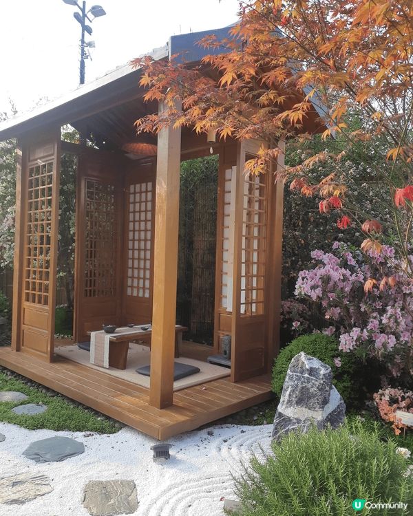 香港花卉展🌸  打卡天堂📸