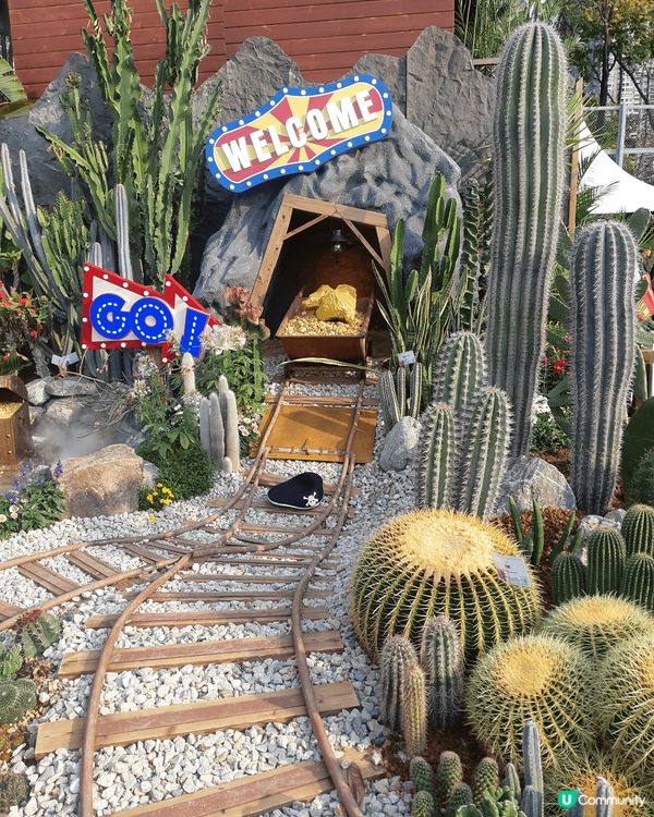 香港花卉展🌸  打卡天堂📸