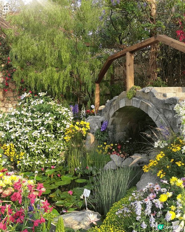 香港花卉展🌸  打卡天堂📸