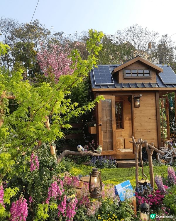 香港花卉展🌸  打卡天堂📸