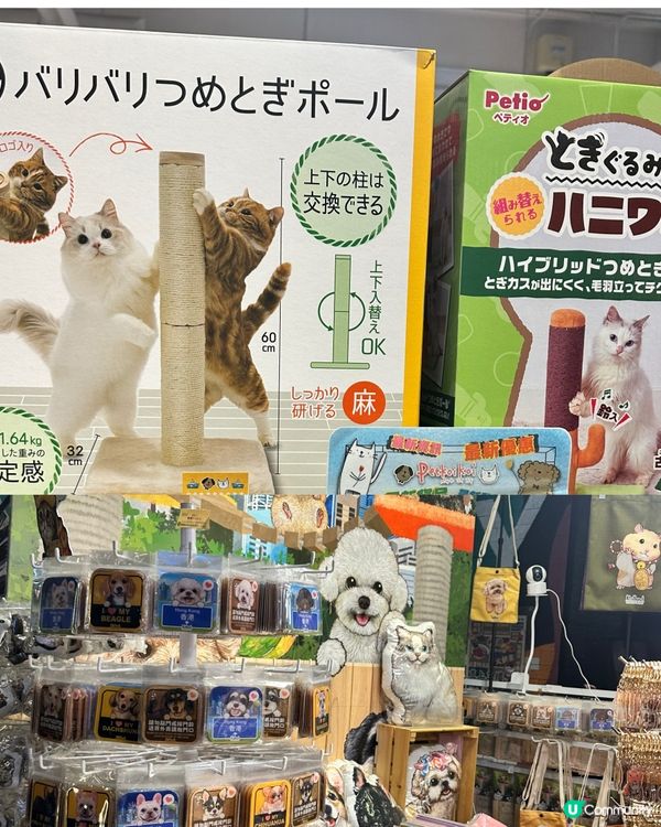 荔枝角～D2place💕