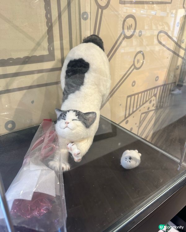 荔枝角～D2place💕