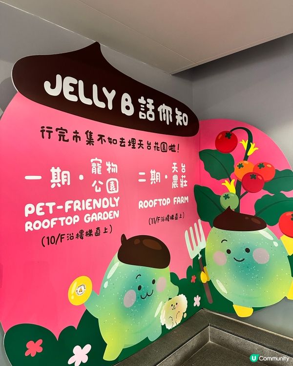 荔枝角～D2place💕