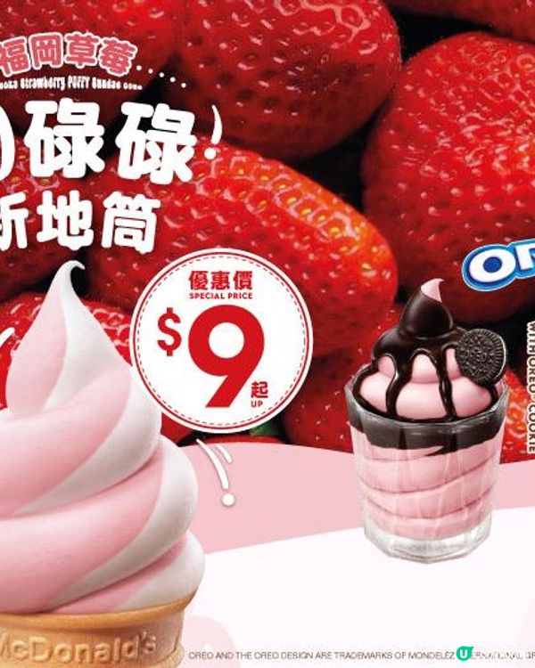 🍓🍓《圓碌碌新地》🍓🍓