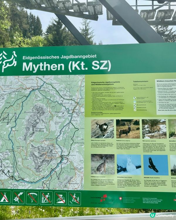 《精彩的米滕山》 🤠