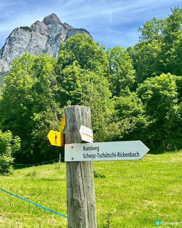 《精彩的米滕山》 🤠