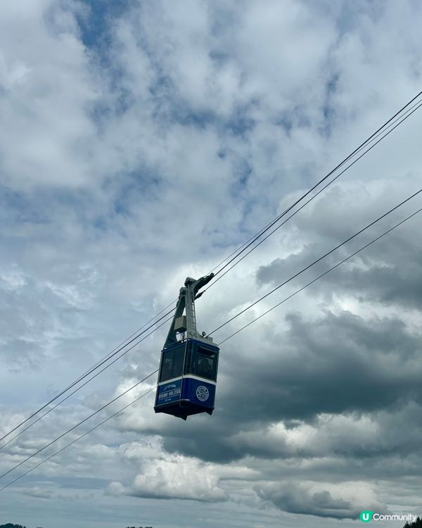 《精彩的米滕山》 🤠