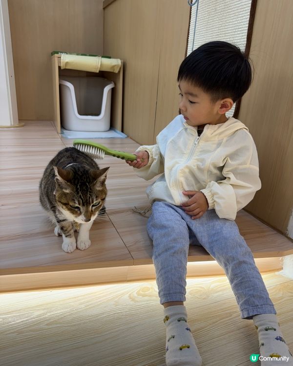 玩貓貓🐱放⚡️親子節目👍