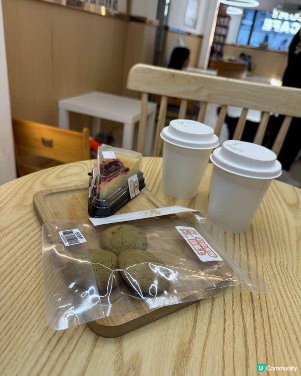 玩貓貓🐱放⚡️親子節目👍