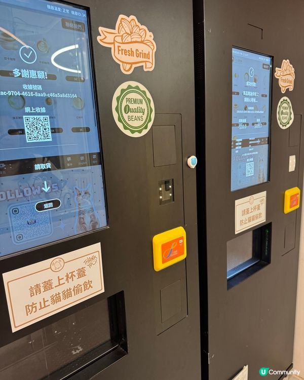 玩貓貓🐱放⚡️親子節目👍