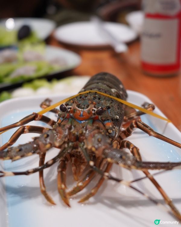 深圳宵夜🔥平食海鮮煲仔粥火鍋🍲