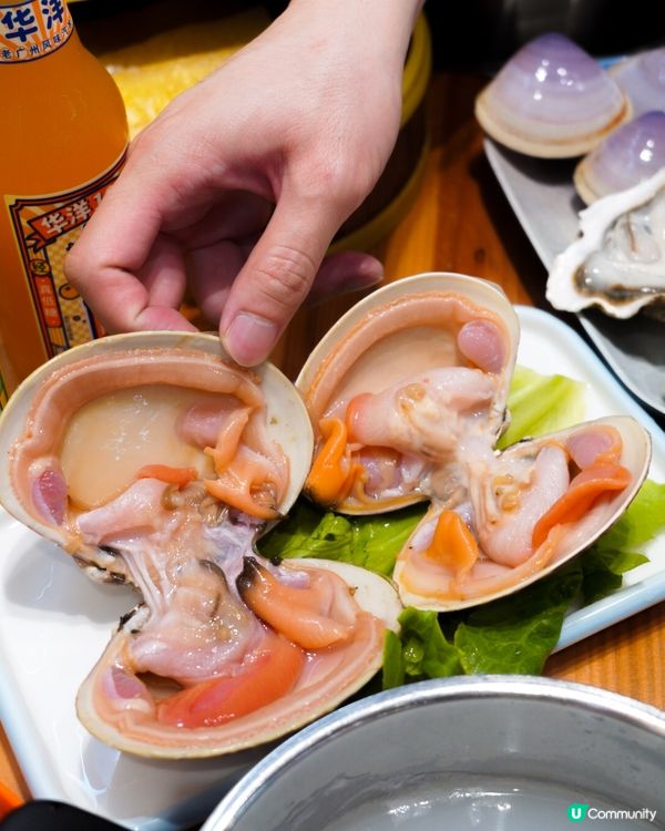 深圳宵夜🔥平食海鮮煲仔粥火鍋🍲