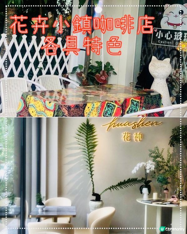 深圳荷蘭花卉小鎮cafe｜貓主子陪飲啡 vs 花海秘境下午茶