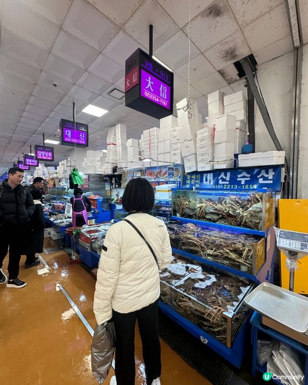 韓國水產市場 五百蚊食帝王蟹！