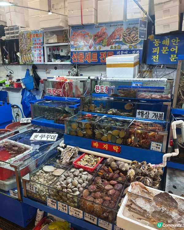 韓國水產市場 五百蚊食帝王蟹！