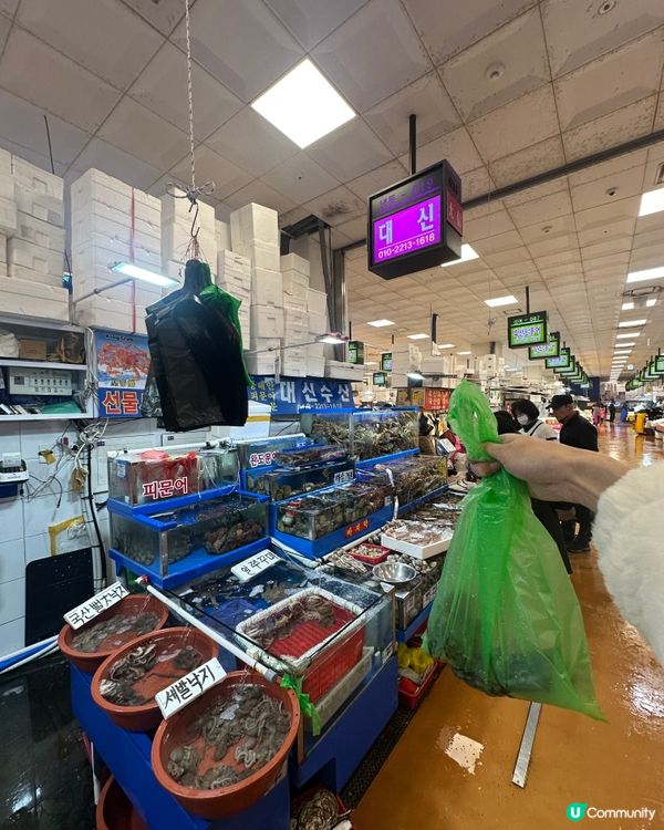 韓國水產市場 五百蚊食帝王蟹！