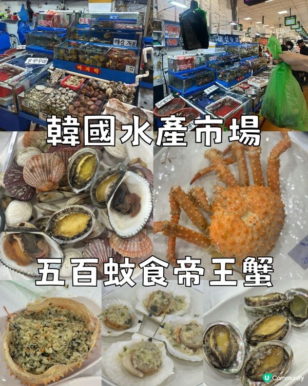 韓國水產市場 五百蚊食帝王蟹！