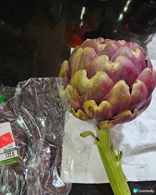 意大利亞枝竹Artichoke