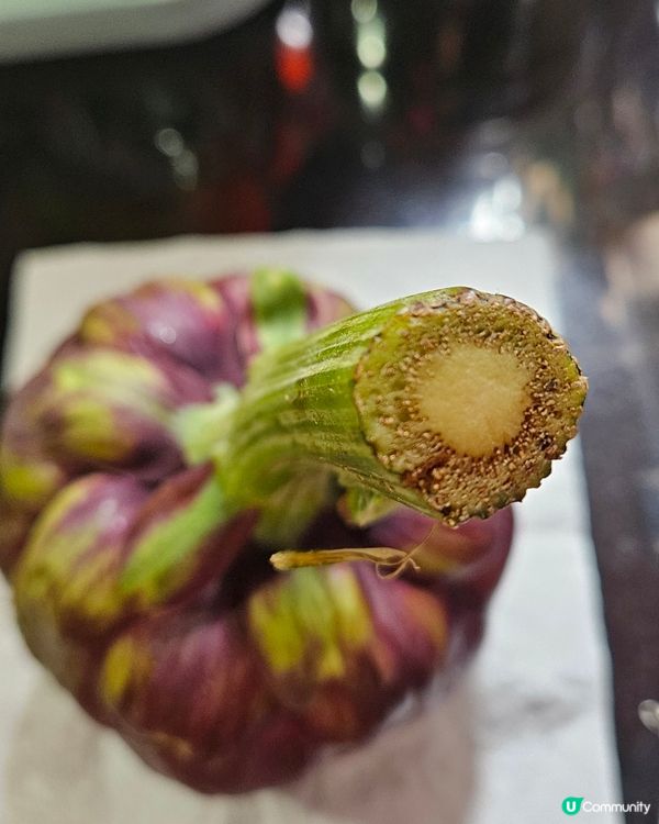 意大利亞枝竹Artichoke