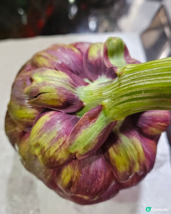 意大利亞枝竹Artichoke