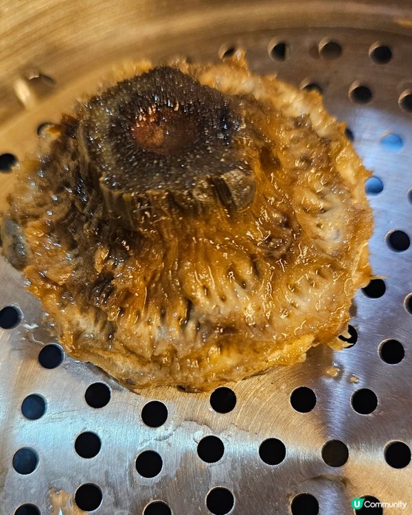 意大利亞枝竹Artichoke