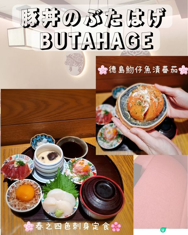 🌸春季限定🌸春之四色刺身定食🌸豚丼のぶたはげ BUTA
