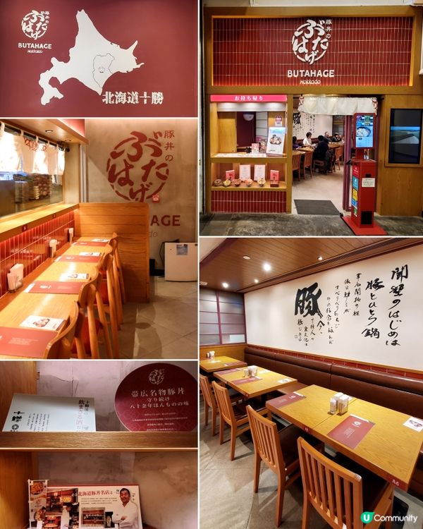 🌸春季限定🌸春之四色刺身定食🌸豚丼のぶたはげ BUTA