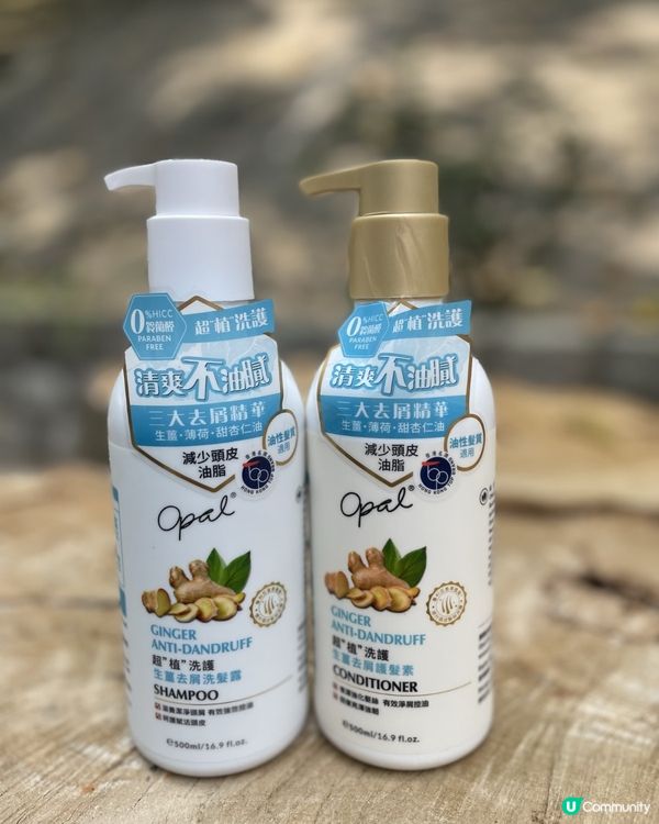 頭髮長,澳寶生薑幫你搞掂！💪