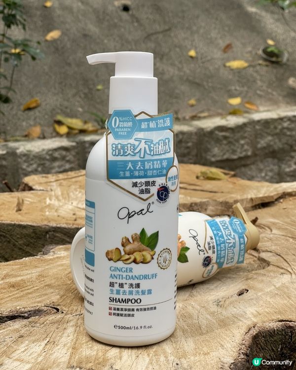 頭髮長,澳寶生薑幫你搞掂！💪
