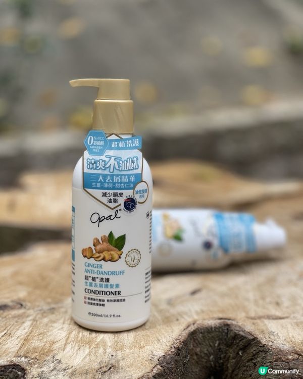 頭髮長,澳寶生薑幫你搞掂！💪