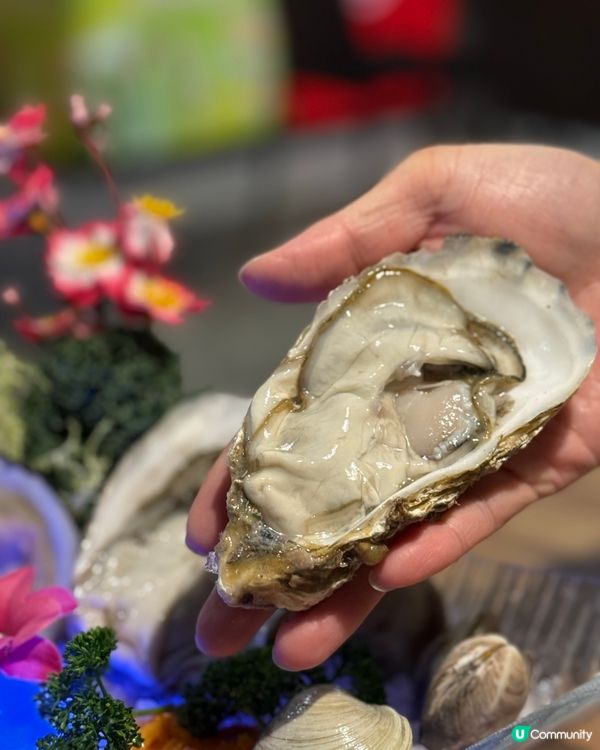 旺角新發現！🔥 抵食雞煲火鍋放題 🍲